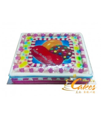PT2102 Photo Cake