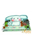 CHILDREN CAKE