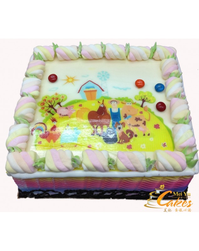 PHOTO CAKE