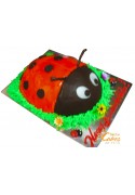 3D CAKE